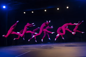 Corpo Vivo